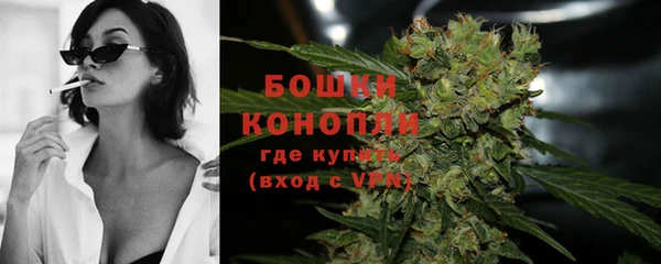 крисы Снежногорск