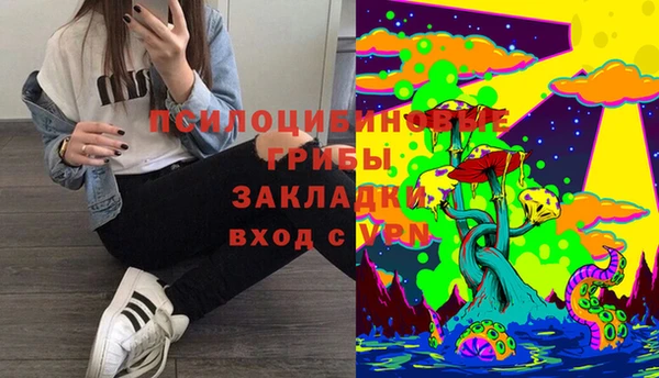 трава Грязовец