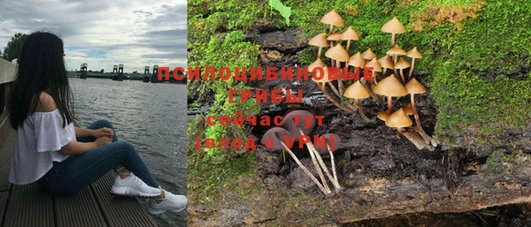 прущая мука Ладушкин